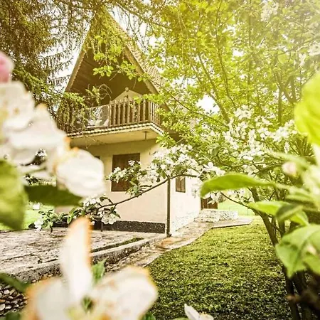 Zbilje Visoko, Bosnian Pyramids Chalet *