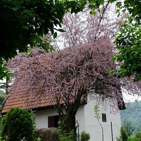 Zbilje Visoko, Bosnian Pyramids *