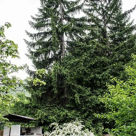 Chalet Zbilje Visoko, Bosnian Pyramids