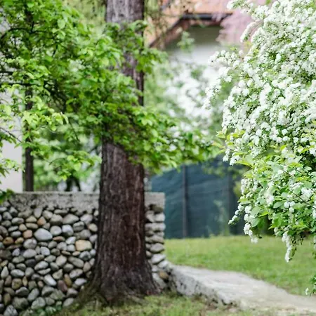 Horská chata Zbilje Visoko, Bosnian Pyramids Visoko