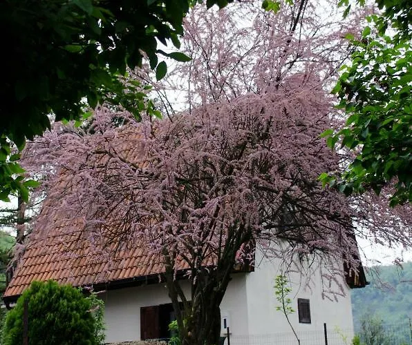 Zbilje Visoko, Bosnian Pyramids *