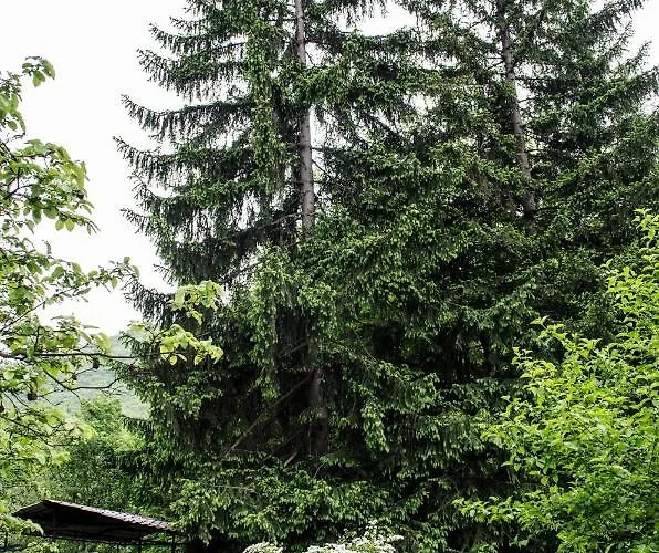 Horská chata Zbilje Visoko, Bosnian Pyramids